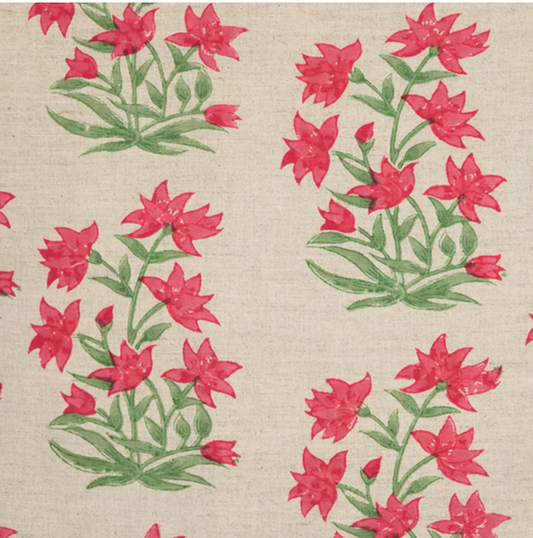 Aadhvi Decorative Pillow